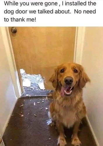 FB_IMG_1694465473921