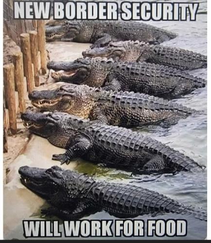 147205e5-9d4b-4f60-b5db-9054d6523da0