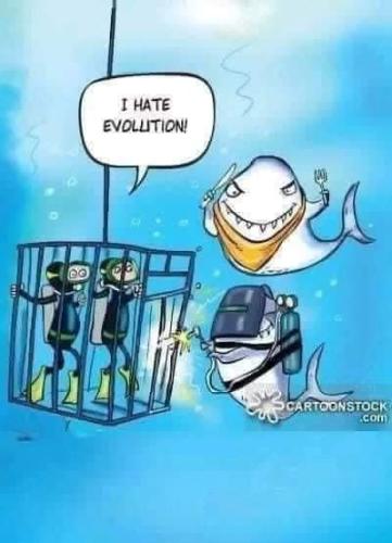 FB_IMG_1695946108937