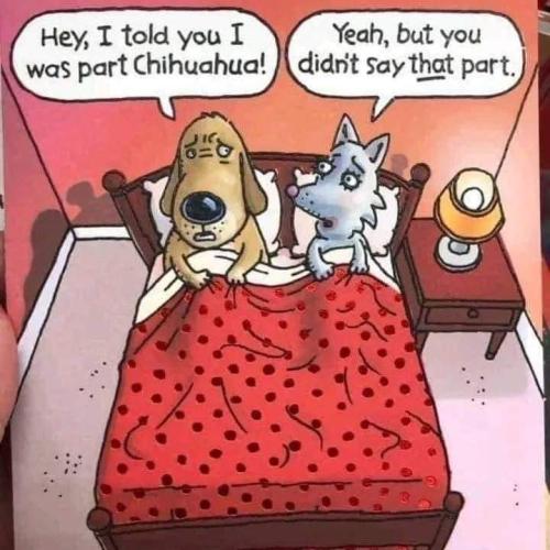 FB_IMG_1693609212328