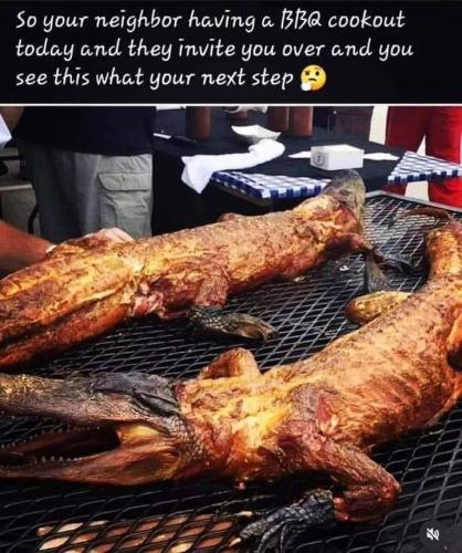FB_IMG_1694633512437