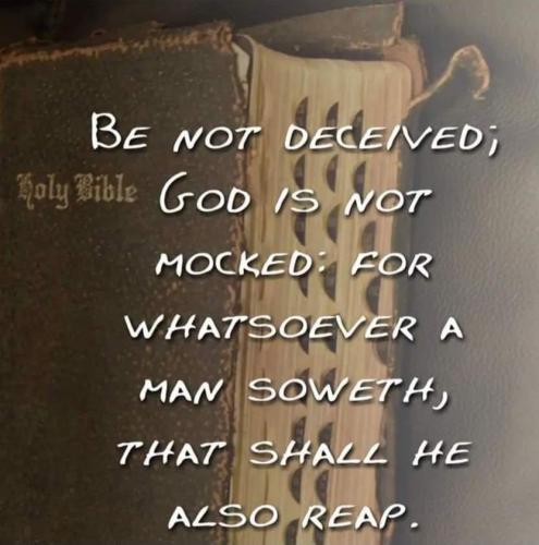 e499f286-2326-4db5-975d-aba1654329dc