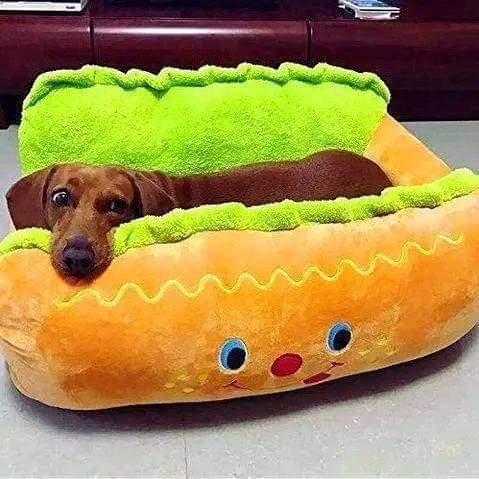 FB_IMG_1695572070018
