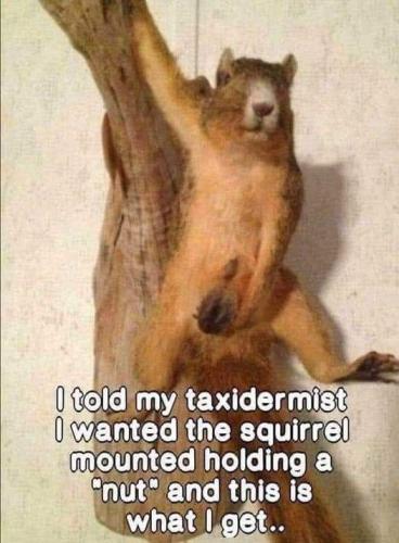 FB_IMG_1694810801749