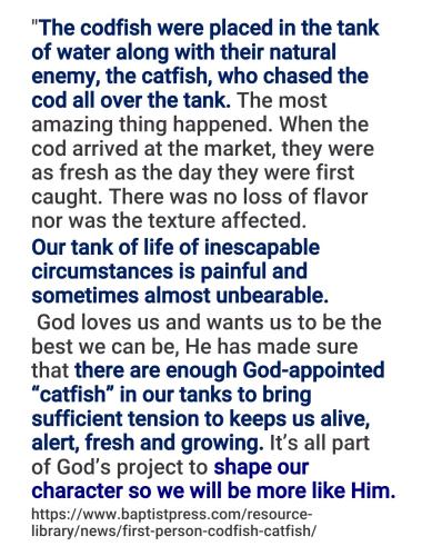 06:54:45 GMT-0400 (EDT)