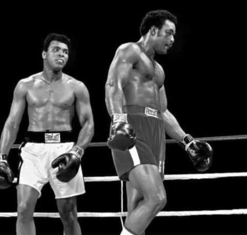 Screenshot_20230919_133955_Facebook