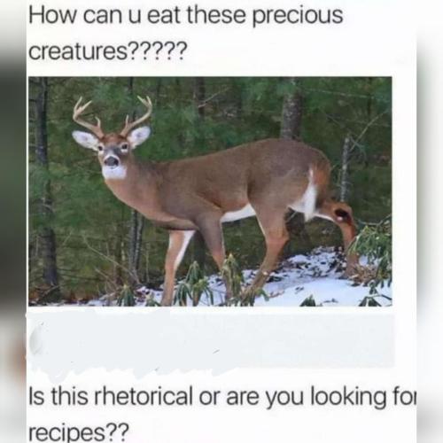 GridArt_20230926_170205039