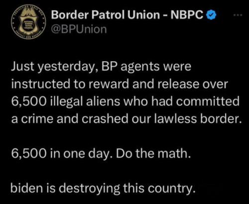 illegal immigration343