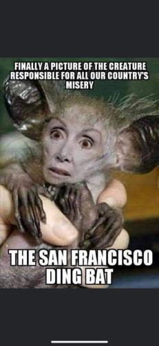 FB_IMG_1695393592224