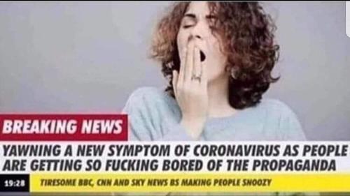 374563243_1329797620976945_2782355715119333569_n