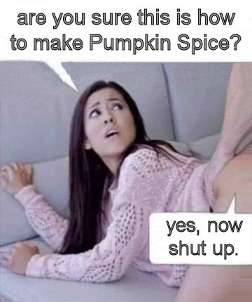 pumpkin spice28
