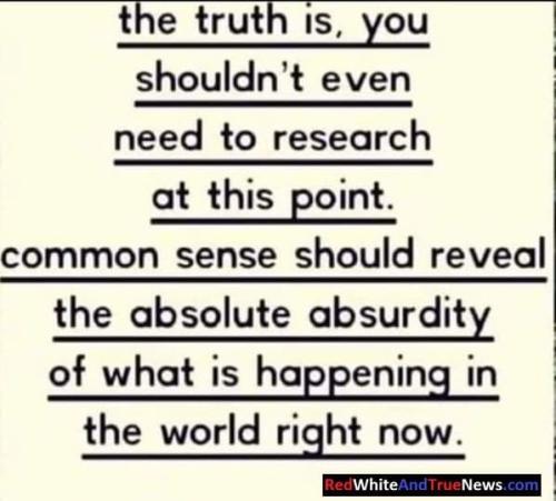 FB_IMG_1694001305345