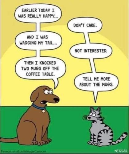 FB_IMG_1694091994154