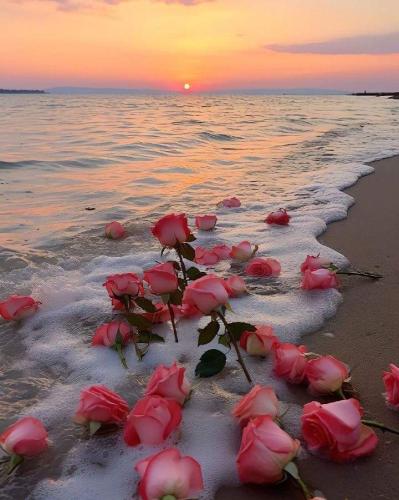 FB_IMG_1693526704951