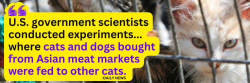 wet-market-petition-donate