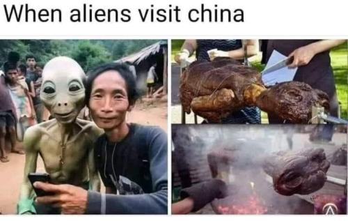 FB_IMG_1695017694782