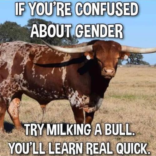 gender