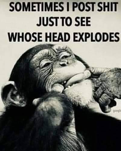 FB_IMG_1695210441760