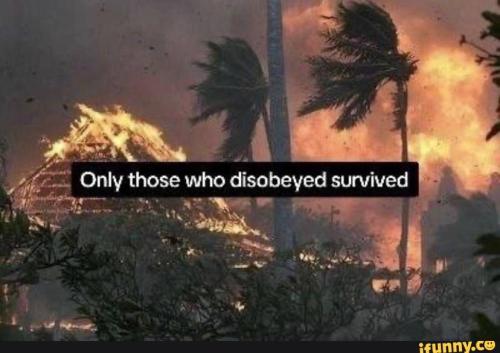 71862b2a-a4f4-422a-9b04-4e374acff4ad