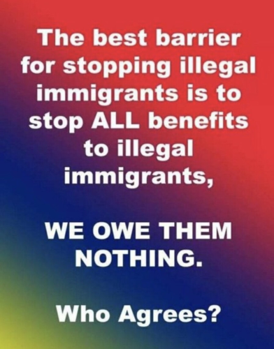 illegals g