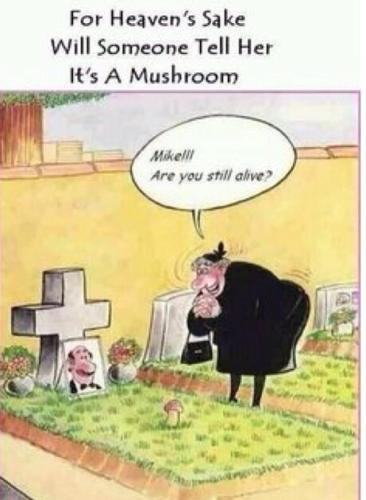 10013099_10152449780171844_24547187_n