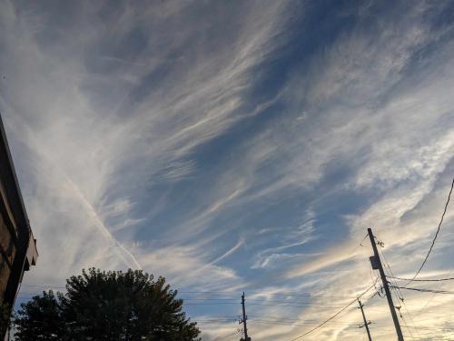 received_265294676457582