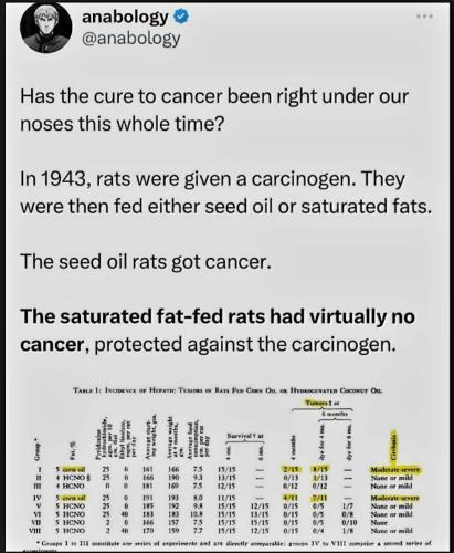 Screenshot_20230920_151532_YouTube