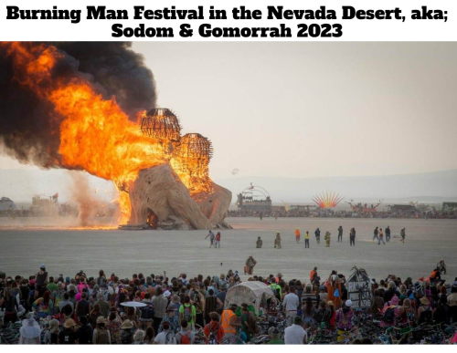 Burning Man Festival 2023