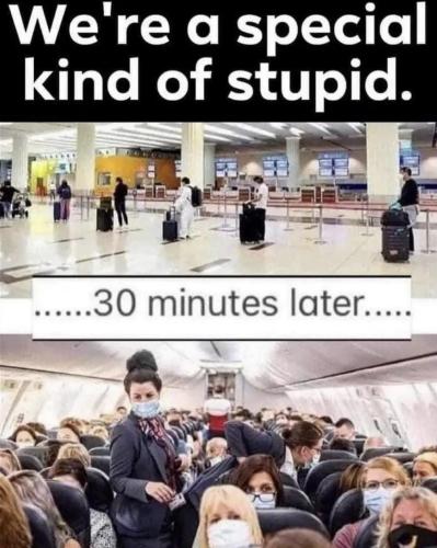 5379fd78-8283-42c3-8f43-82ce06783e2c