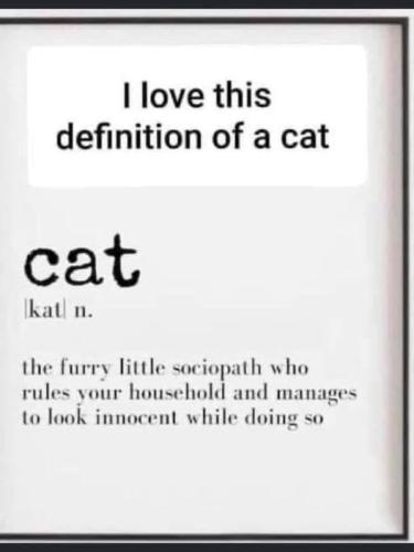 367955734_696389582303416_3623530358457976492_n