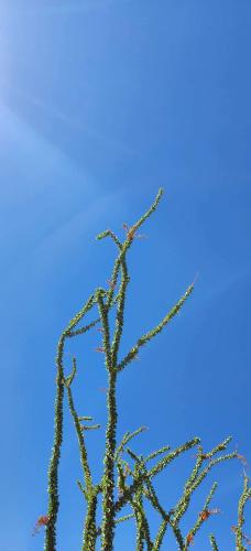 11:46:39 GMT-0500 (CDT)