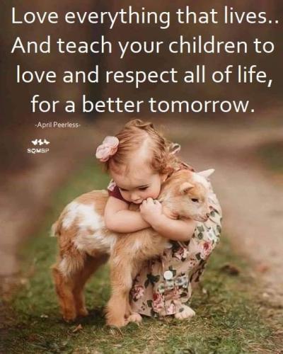 FB_IMG_1695017687161