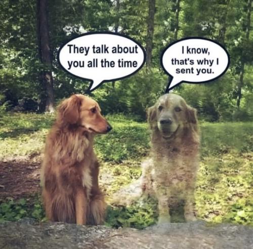 378296777_10219076372140386_4168770678862581662_n