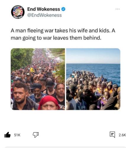 military aged men illegals