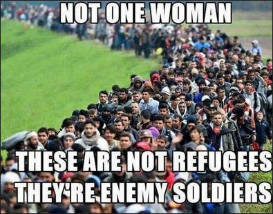 illegal immigration347