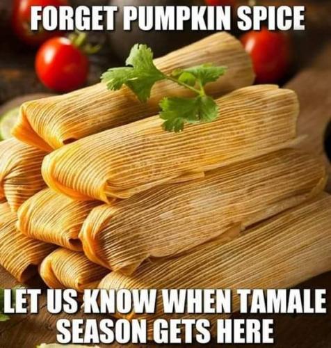 FB_IMG_1695727437778