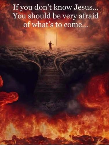 d67ade44-db7d-497b-9d3d-1c217ba9b409