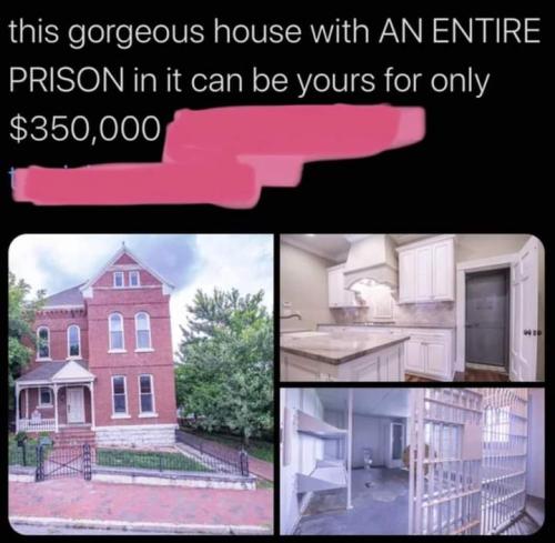 FB_IMG_1694246205540