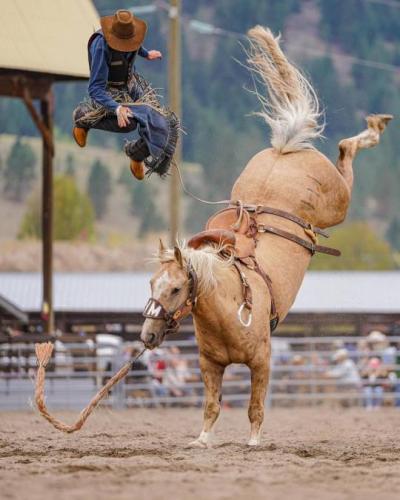 tumblr_c0b0bc0b40b4ae5c86bde85cbb49e181_2ec041fb_540