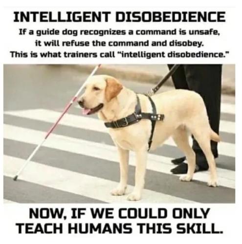 intelligence