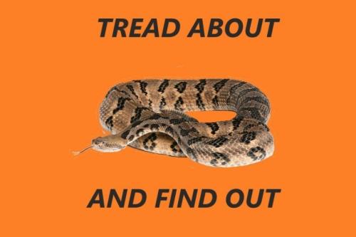 83606fa6-a6e2-4e8f-927b-e47b3ebc9cb8