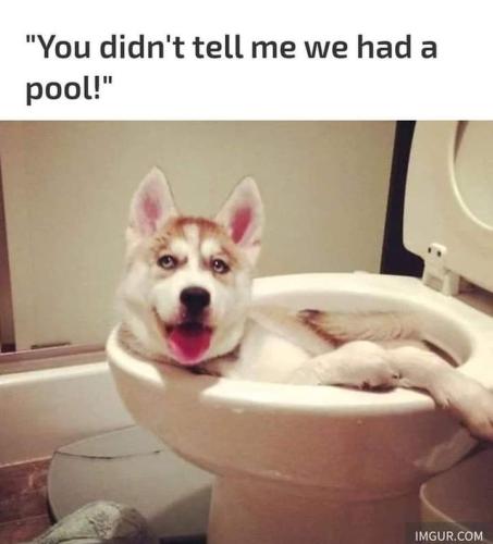 FB_IMG_1694371750182