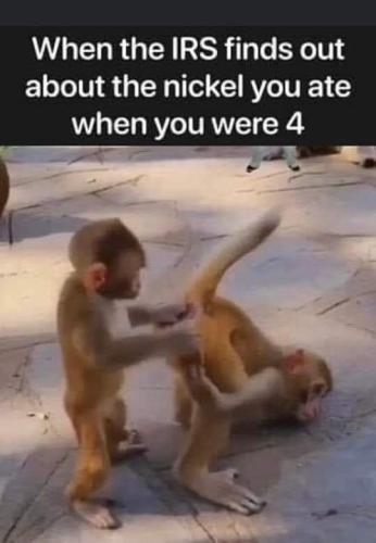 w-e0ed239163f67c26100c8ed39dd72282_1024