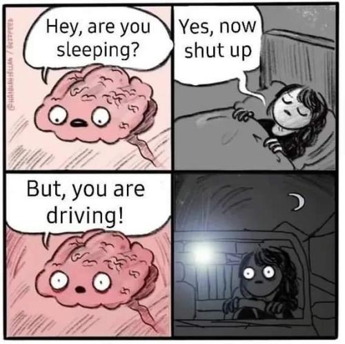 FB_IMG_1693608126888