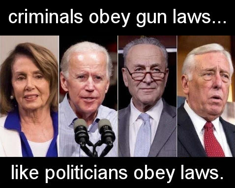 criminals obey gun laws like politicians obey laws
