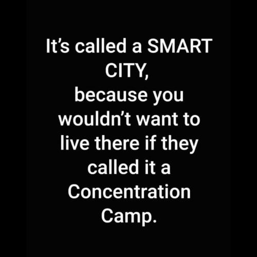 FB_IMG_1694336217679