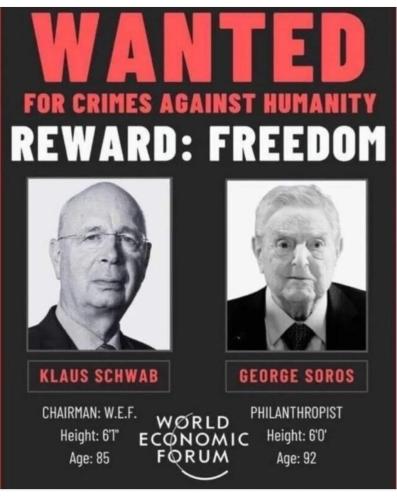 FB_IMG_1695043924630