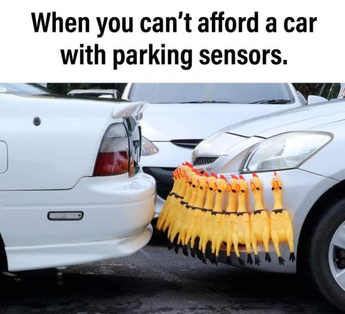 FB_IMG_1694468105630