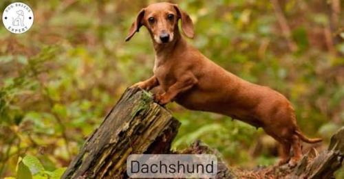 FB_IMG_1694783621604