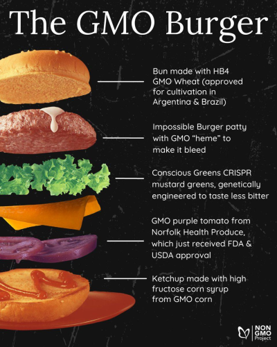 Bill Gates GMO burger